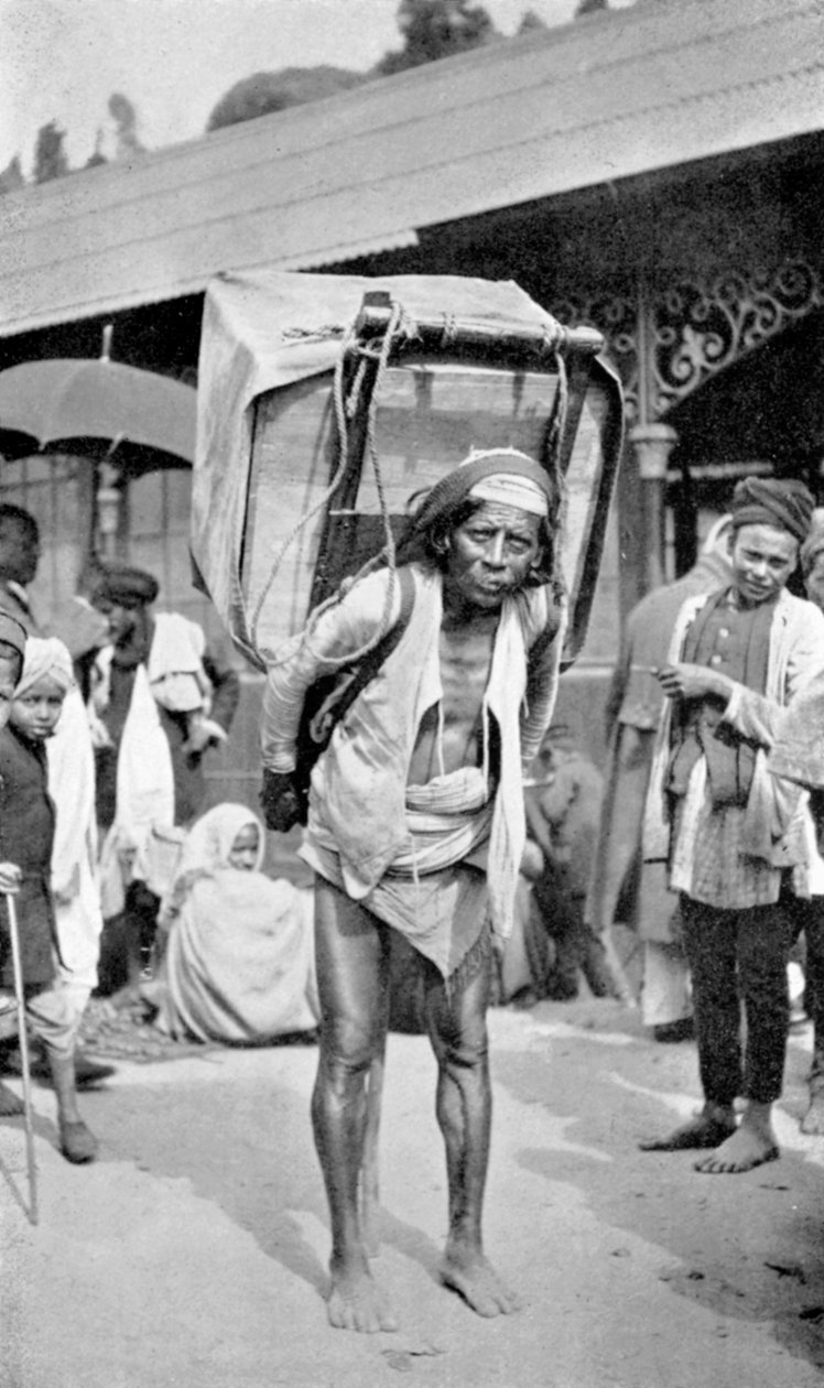 عامل يحمل الشاي ، دارجيلنغ ، غرب البنغال ، الهند ، c1910 بواسطة غير معروف