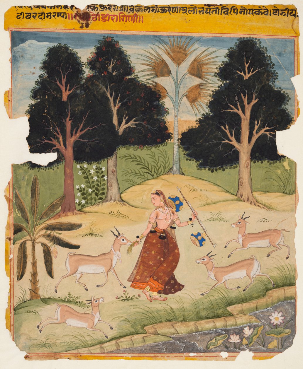 صفحة من مخطوطة راجمالا: Todi Ragini، c. 1625. بواسطة غير معروف