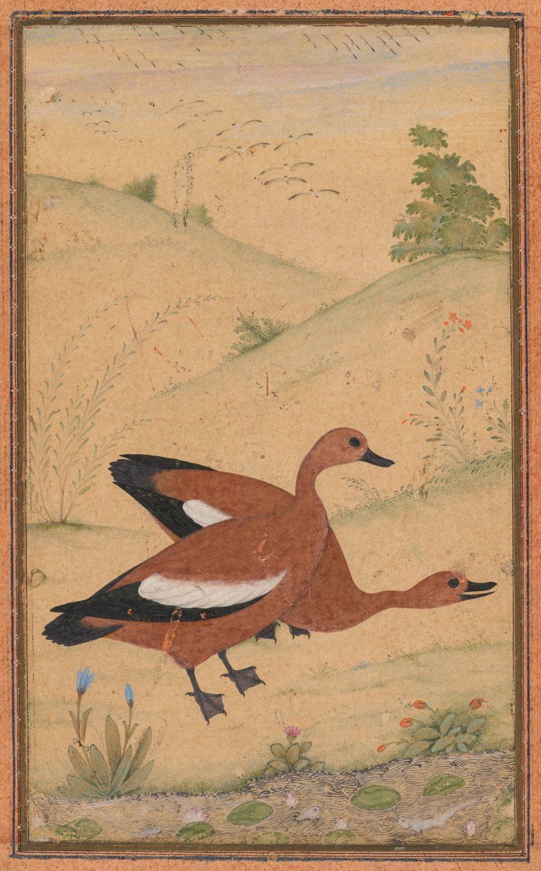 زوج من براهمي البط ، ج. 1595 ، أضيفت الحدود ربما 1800s. بواسطة غير معروف