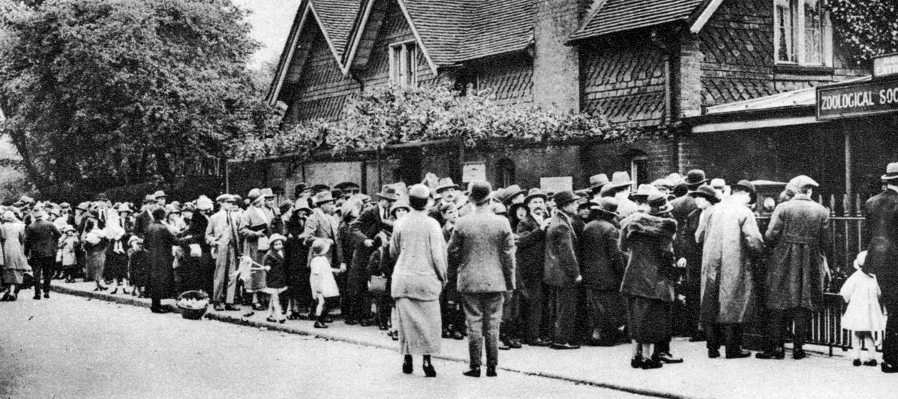 قائمة انتظار لحديقة الحيوانات في عطلة وطنية ، لندن ، 1926-1927 بواسطة غير معروف