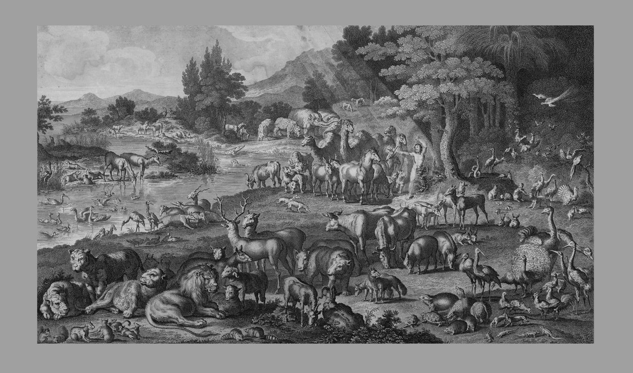 قام آدم بتسمية الخليقة 1818. بواسطة غير معروف