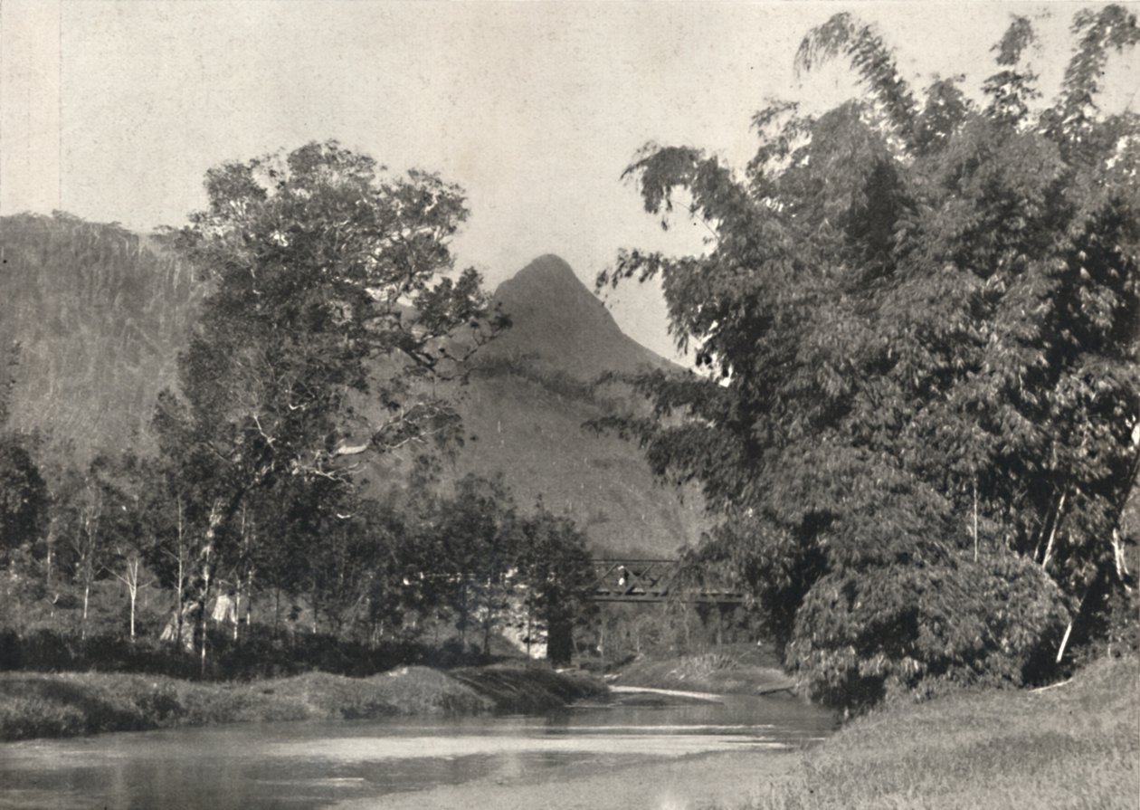 Adamspik من منطقة Maskeliya ، 1926 بواسطة غير معروف