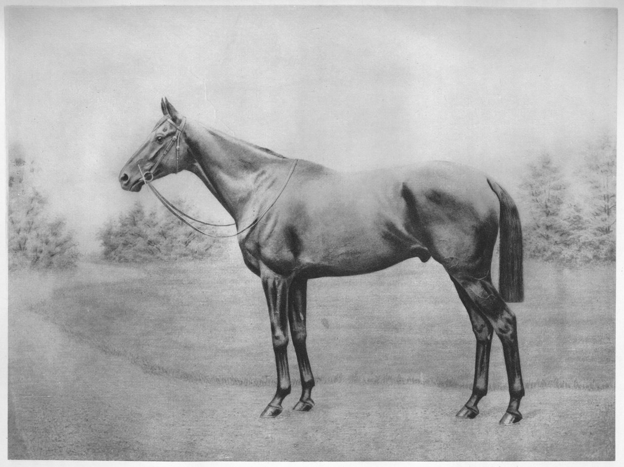 الأدميرال توغو الثالث ، 1911 بواسطة غير معروف