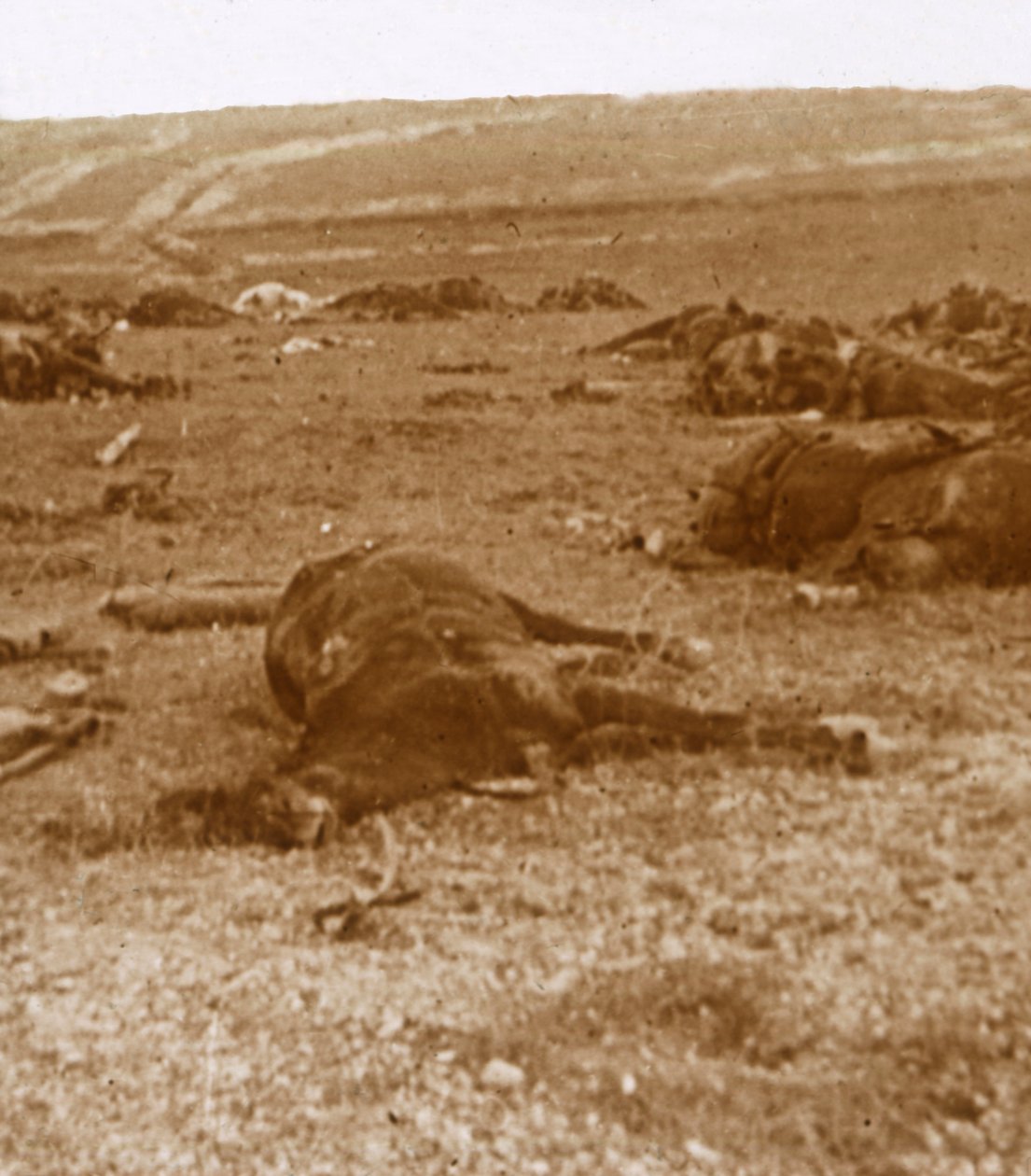 بعد التهمة ، بوسيجور ، شمال فرنسا ، c1914-c1918 بواسطة غير معروف