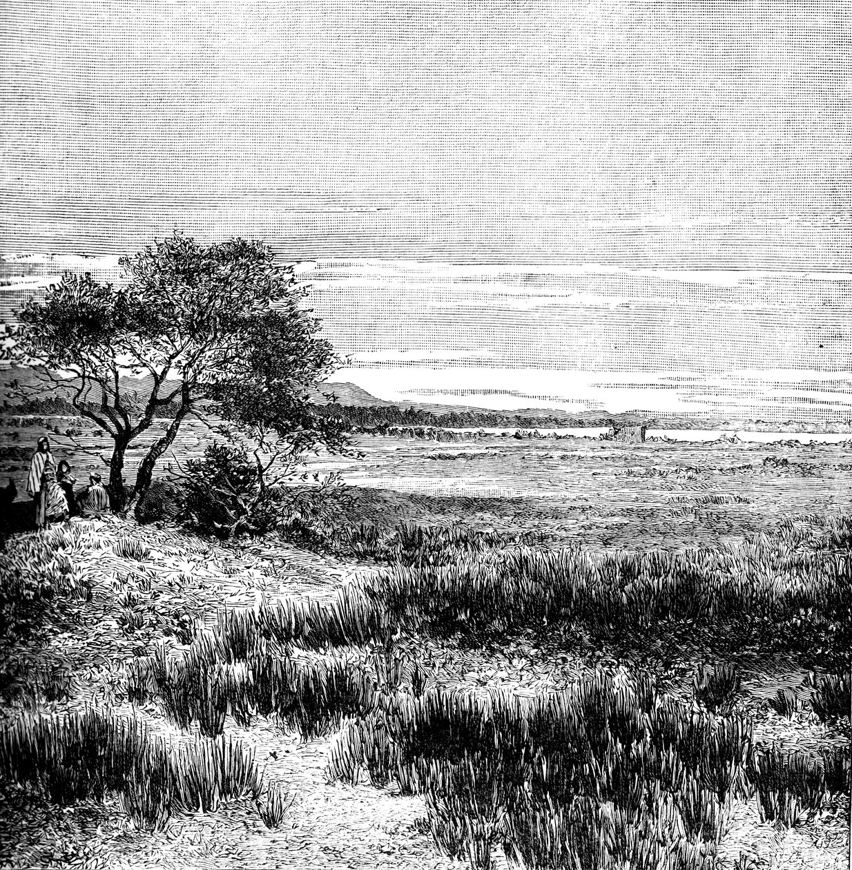 وادي أغا ، وسط بامبا ، الأرجنتين ، 1895 بواسطة غير معروف