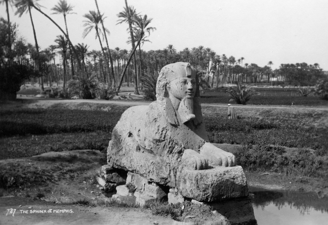 المرمر أبو الهول في ممفيس ، مصر ، c1920s-c1930s بواسطة غير معروف