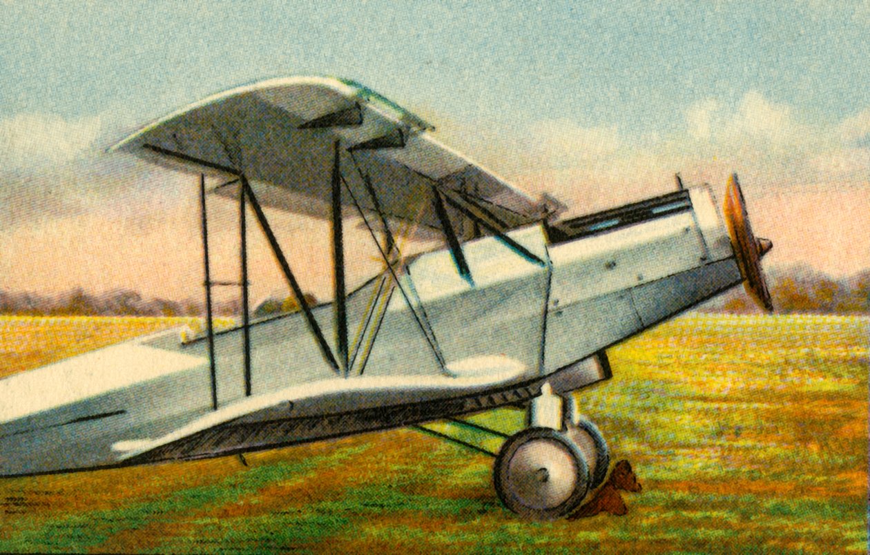طائرة الباتروس L 75a Ass ، 1920 ، 1932. بواسطة غير معروف