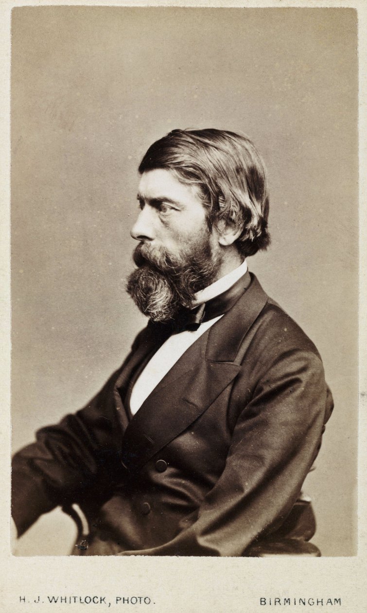 Alexander William Williamson, Scottish chemist, c 1865 بواسطة غير معروف