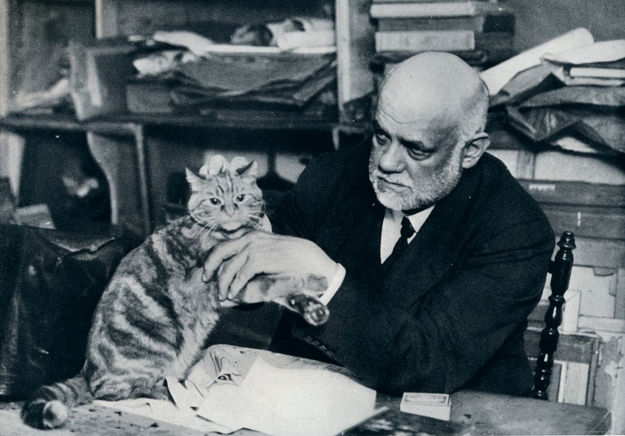 أمبرواز فولارد ، تاجر فنون فرنسي ، 1934 بواسطة غير معروف
