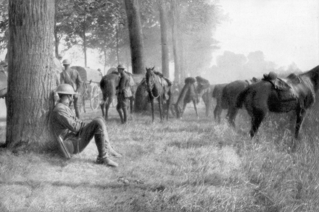 وحدة سلاح الفرسان الأمريكي في حالة الراحة ، Chemin des Dames ، فرنسا ، 1918 بواسطة غير معروف
