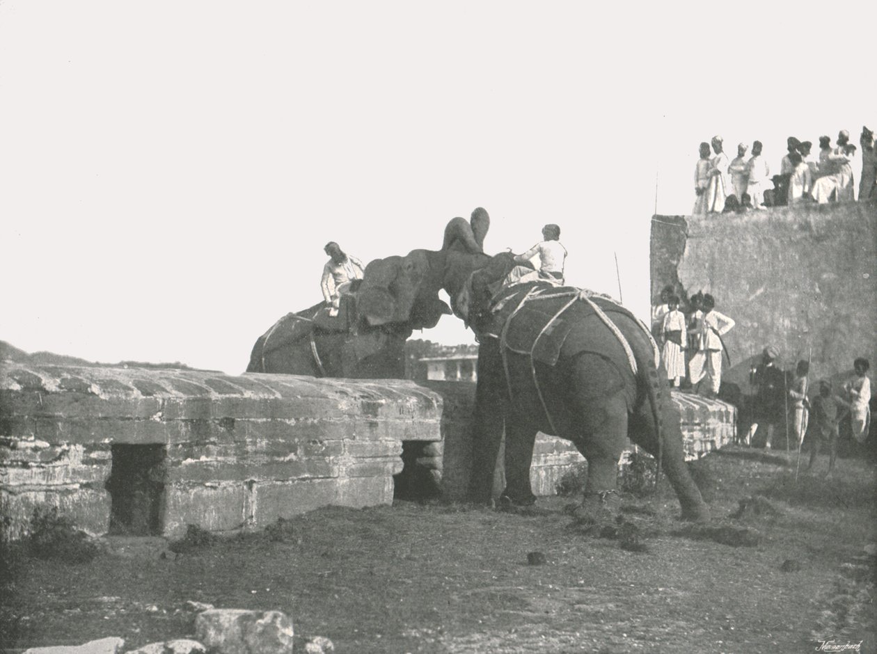 معركة الفيل ، حيدر أباد ، الهند ، 1895. بواسطة غير معروف