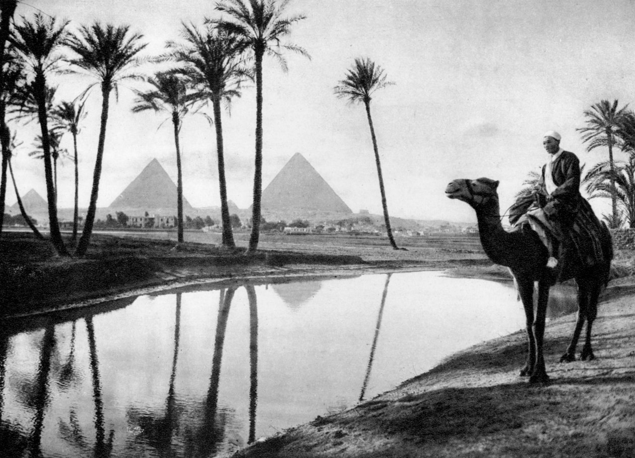 واحة بالقرب من القاهرة ، مصر ، ج 1920s بواسطة غير معروف
