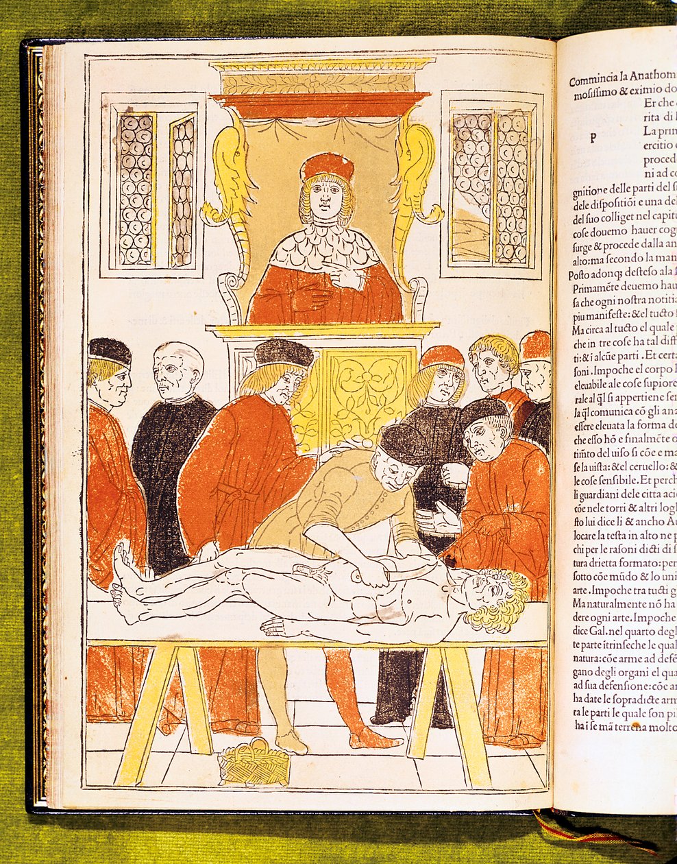 محاضرة تشريح في بادوفا ، إيطاليا ، 1483 بواسطة غير معروف