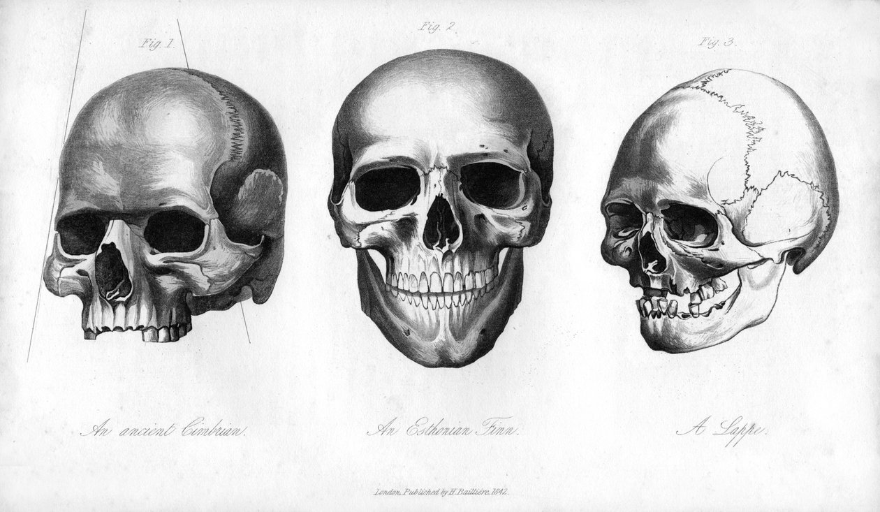 Cimbrian القديمة ، Esthonian Finn ، Lappe ، 1848 بواسطة غير معروف