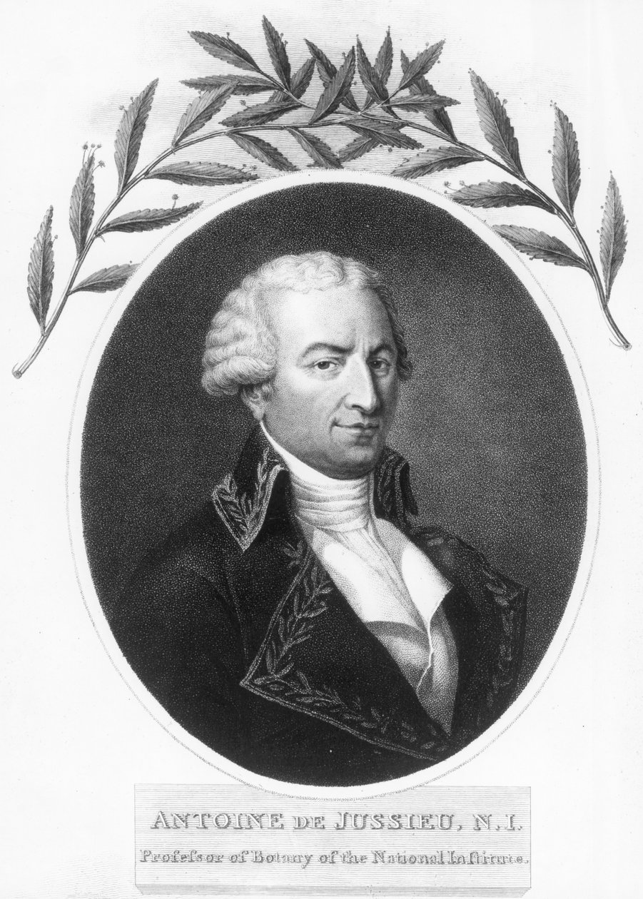 أنطوان دي جوسيو ، عالم النبات الفرنسي في القرن الثامن عشر ، 1807 بواسطة غير معروف