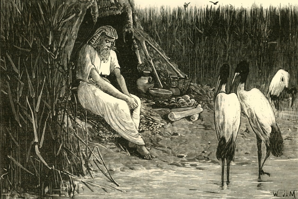 انحلال مخبأ في مستنقعات الدلتا ، 1890. بواسطة غير معروف