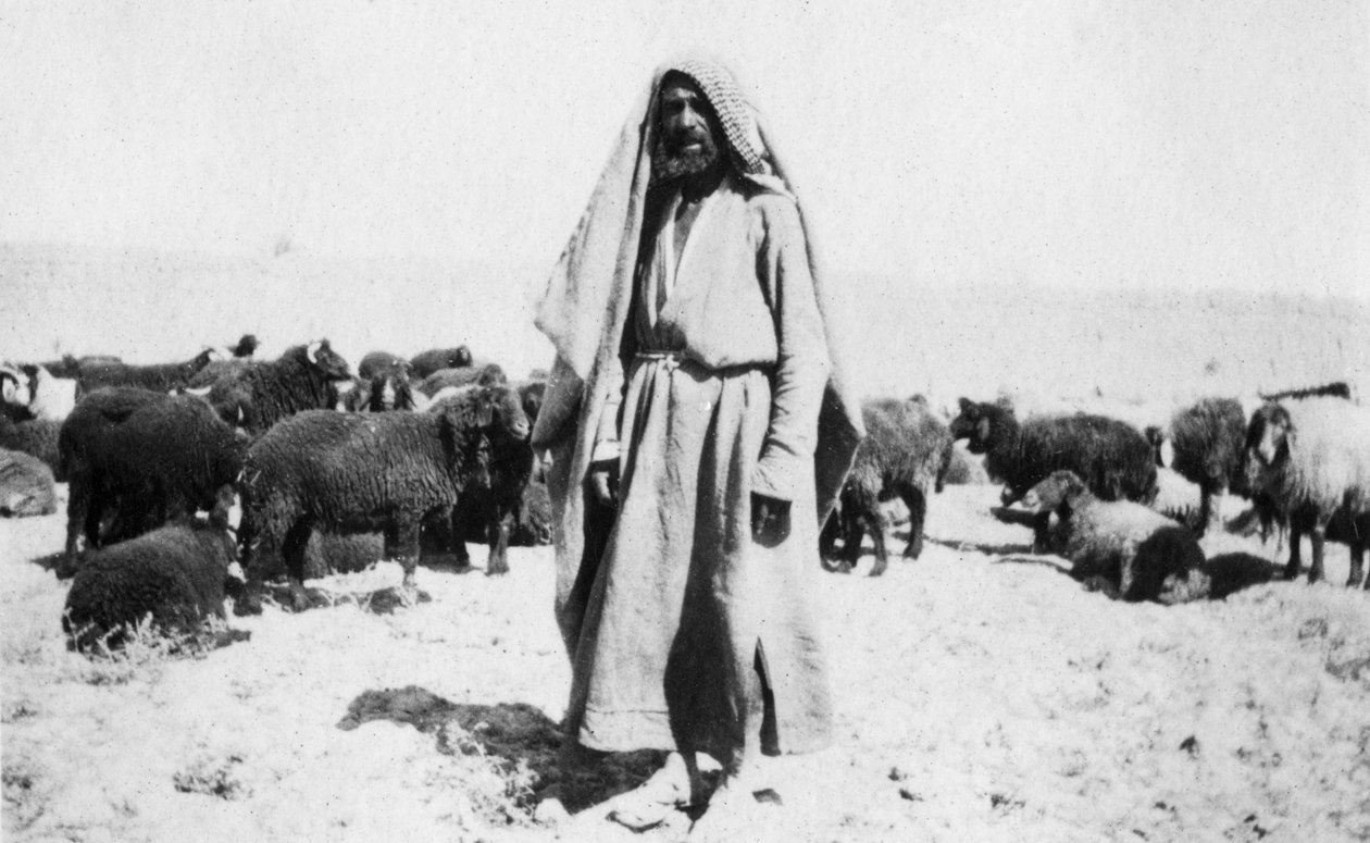 الراعي العربي ، منطقة الكاظمين ، العراق ، 1917-1919 بواسطة غير معروف