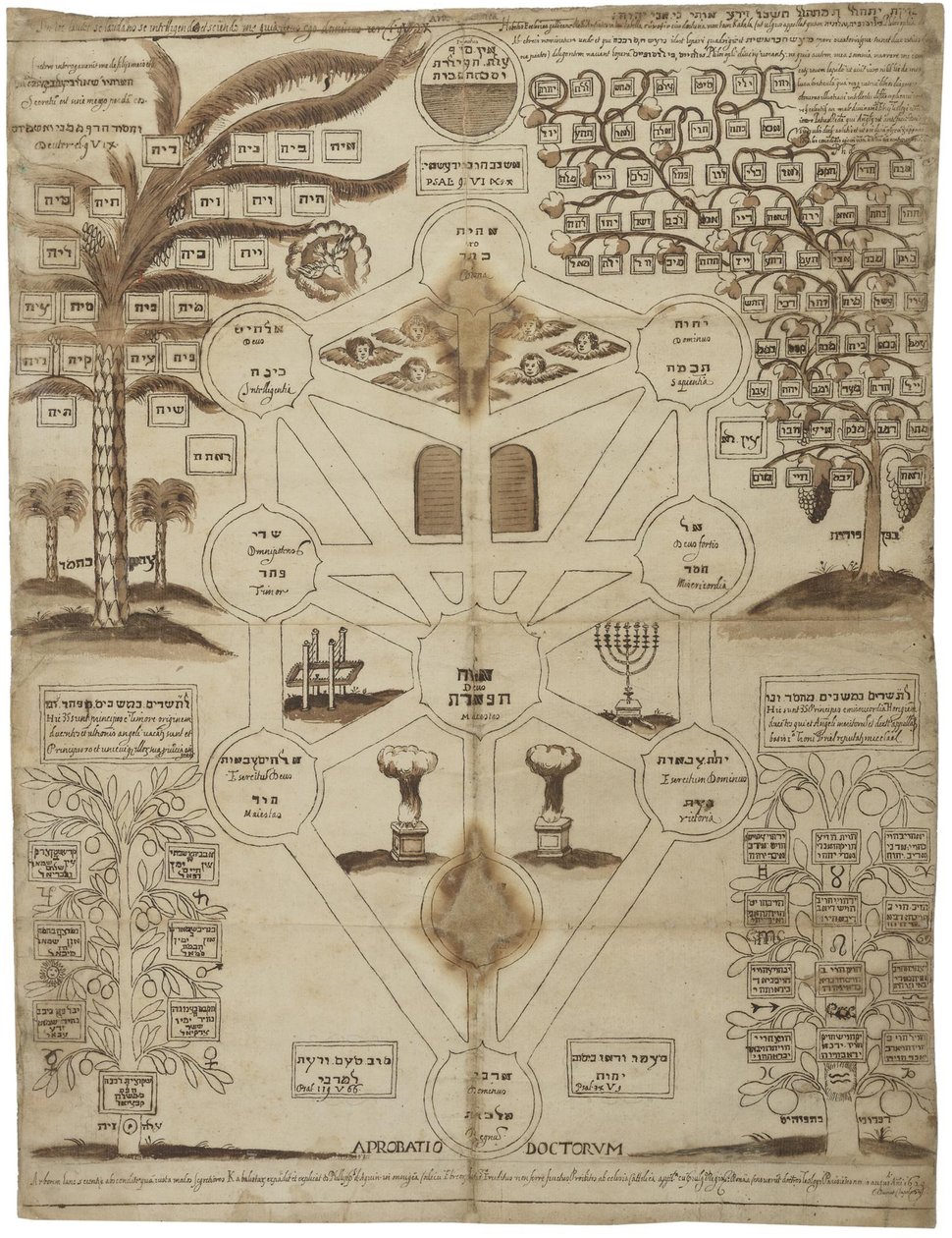 Arbor Cabalistica Kabbalistic Tree، ca 1625 بواسطة غير معروف