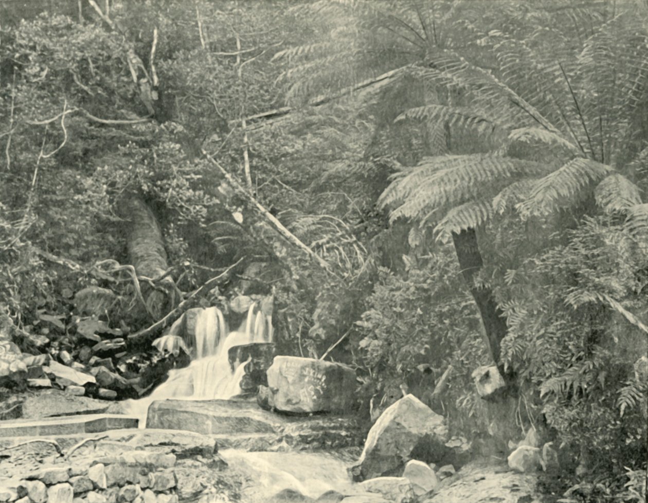 في St. Crispins Well ، 1901. بواسطة غير معروف