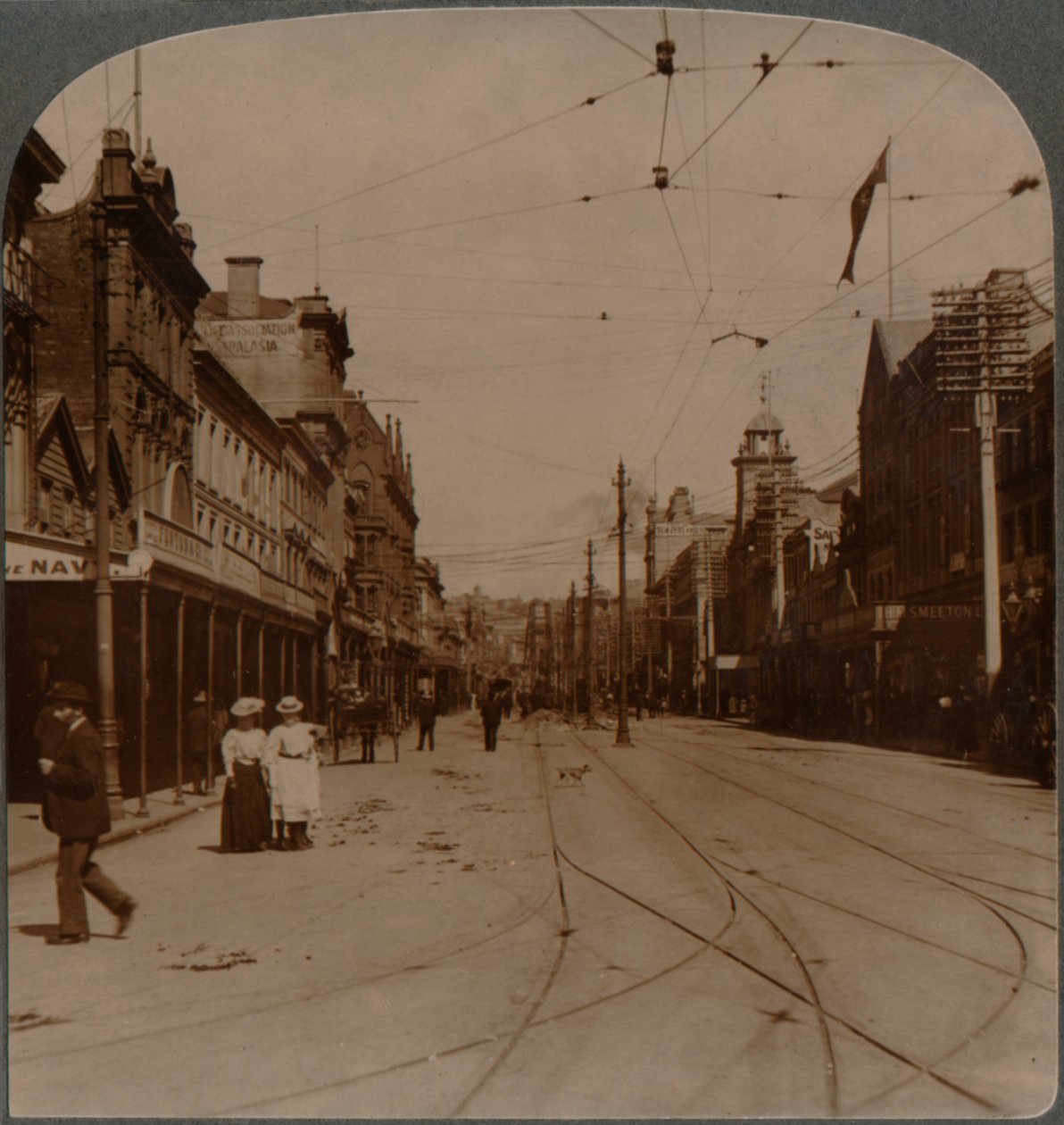 طريق أوكلاندز الرئيسي للأعمال ، Queen St. ، أبحث S. ، نيوزيلندا ، c1900 بواسطة غير معروف