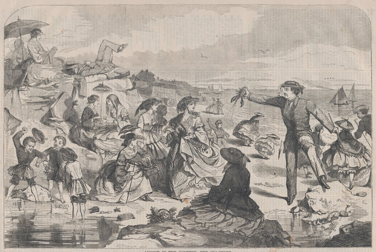 أغسطس في البلد - The Sea-Shore Harper's Weekly ، المجلد. الثالث ، 27 أغسطس 1859. بواسطة غير معروف