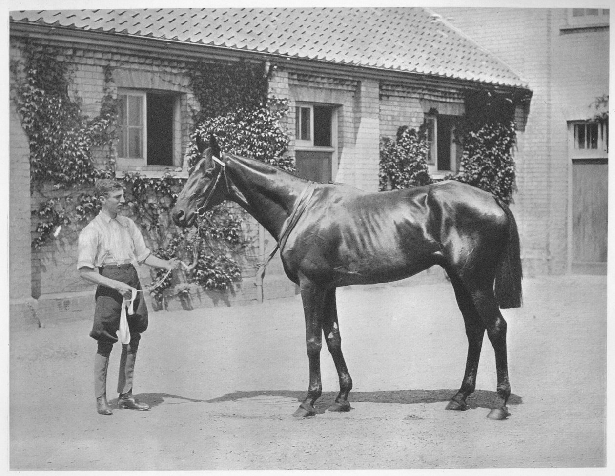 النجم الأسترالي ، 1911 بواسطة غير معروف