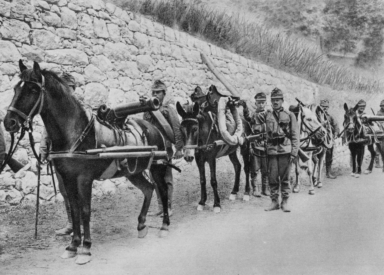 الجنود النمساويون ، الحرب النمساوية الإيطالية ، معركة إيزونزو ، الحرب العالمية الأولى ، 1915 بواسطة غير معروف