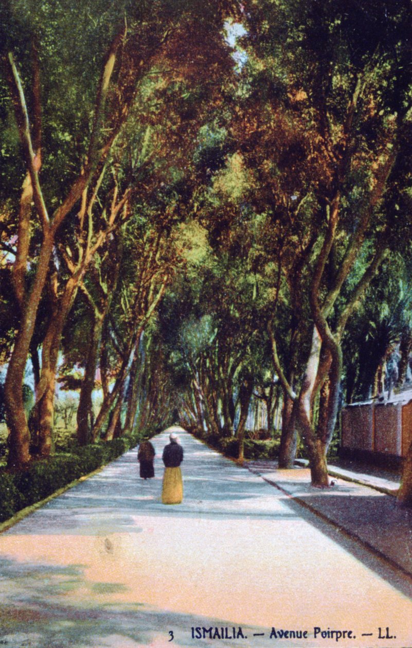 شارع بويرب ، الإسماعيلية ، مصر ، c1900 بواسطة غير معروف