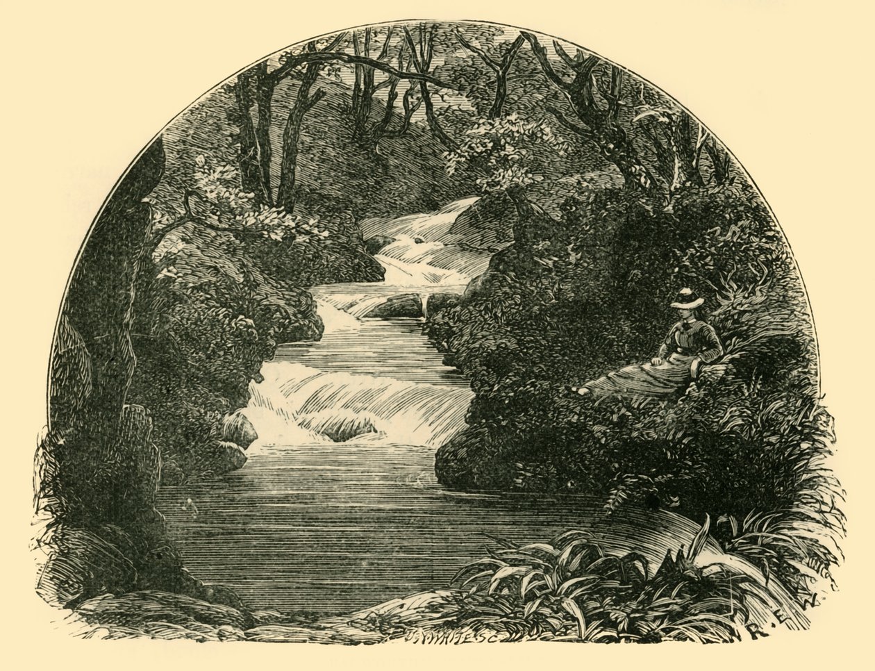 باغورثي ووتر سلايد ، 1898. بواسطة غير معروف