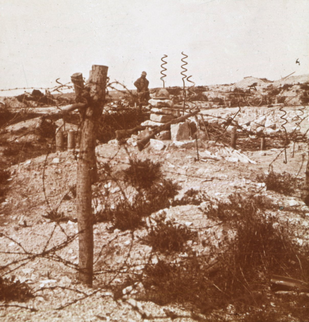 سلك شائك ، Craonne ، شمال فرنسا ، c1914-c1918 بواسطة غير معروف