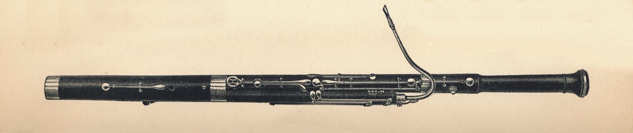 باسون ، 1895. بواسطة غير معروف