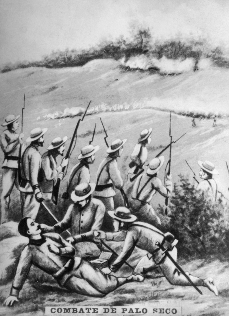 معركة بالو سيكو ، 1873 ، 1920 بواسطة غير معروف