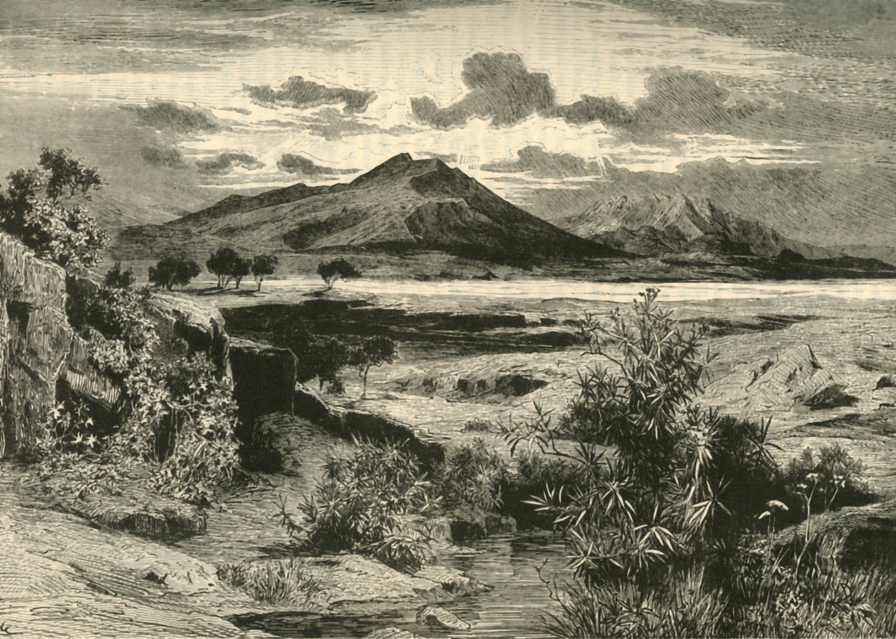 ساحة معركة بلاتيا ، 1890. بواسطة غير معروف
