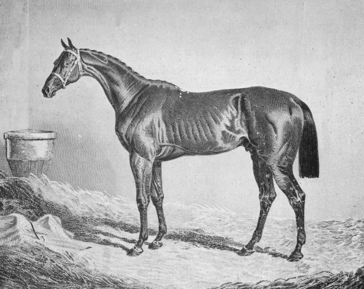 باي ميدلتون ، 1833-1857 ، 1911 بواسطة غير معروف