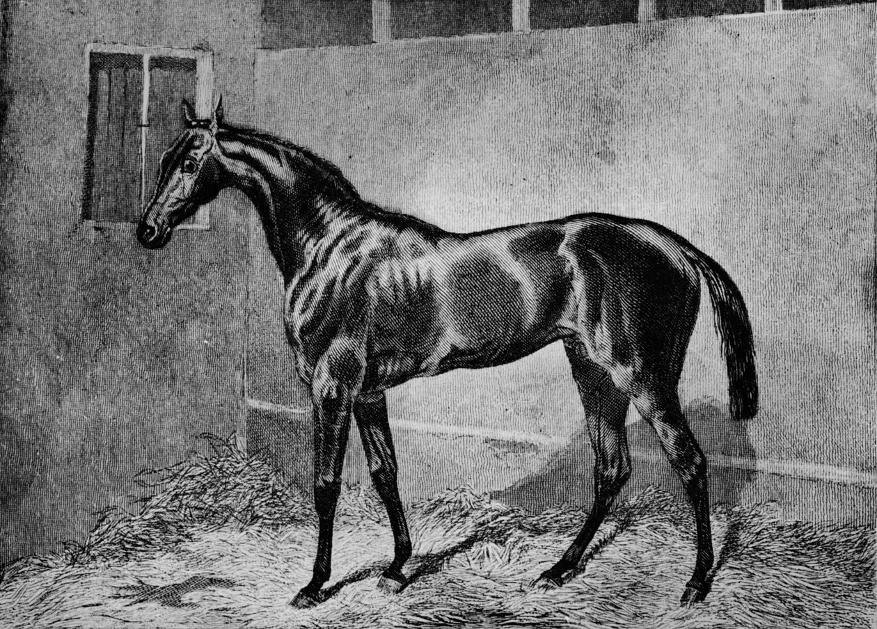 الخرز ، 1855-1872 ، 1911 بواسطة غير معروف
