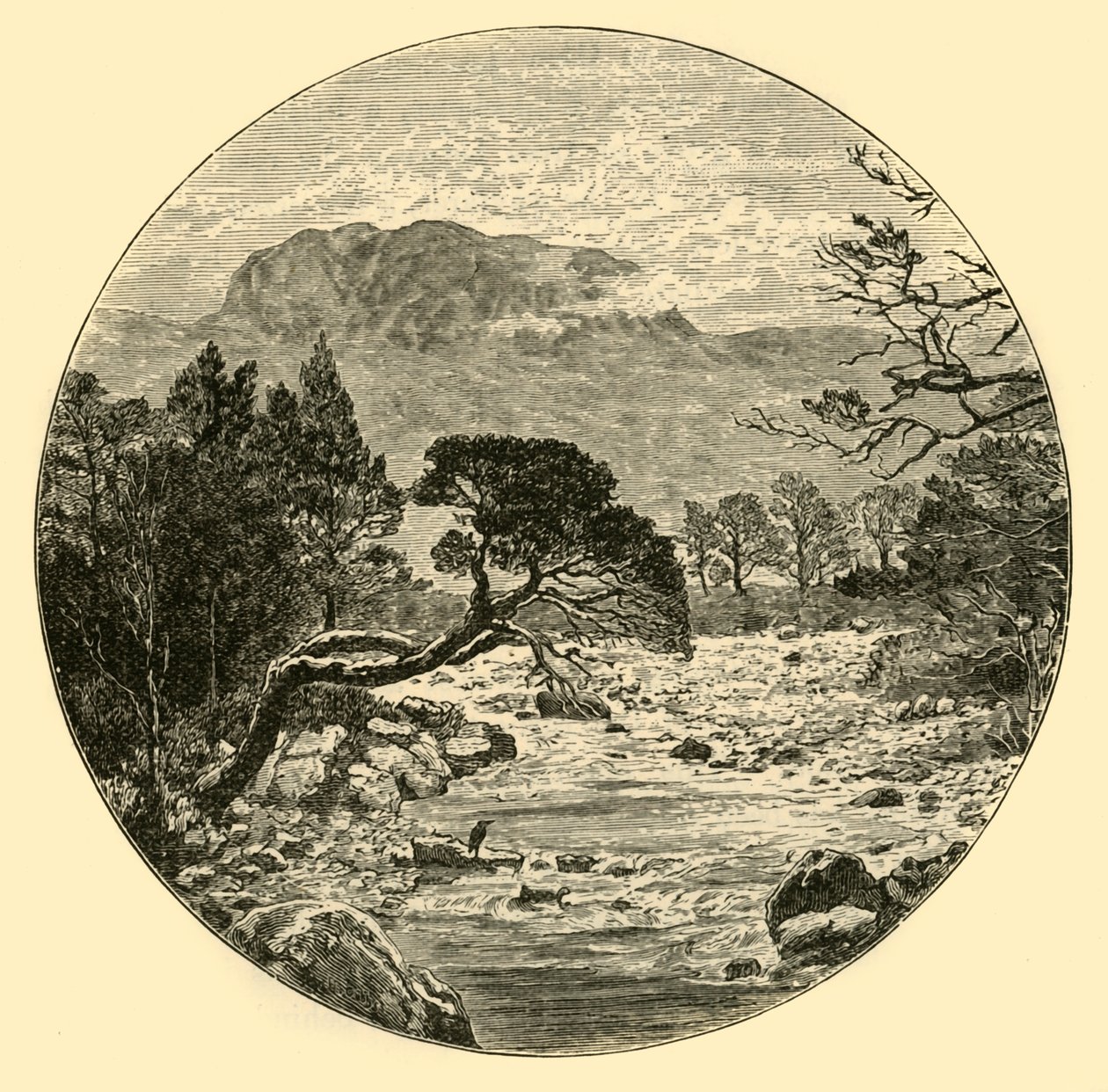 بن سليوخ ، 1898. بواسطة غير معروف