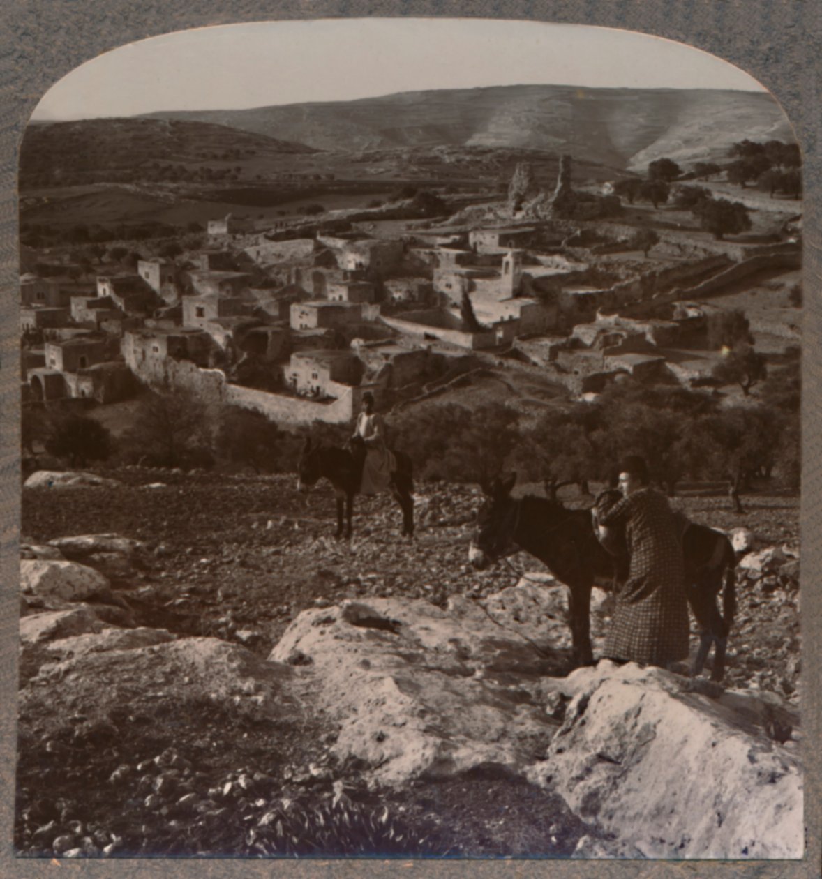 بيثاني ، c1900 بواسطة غير معروف