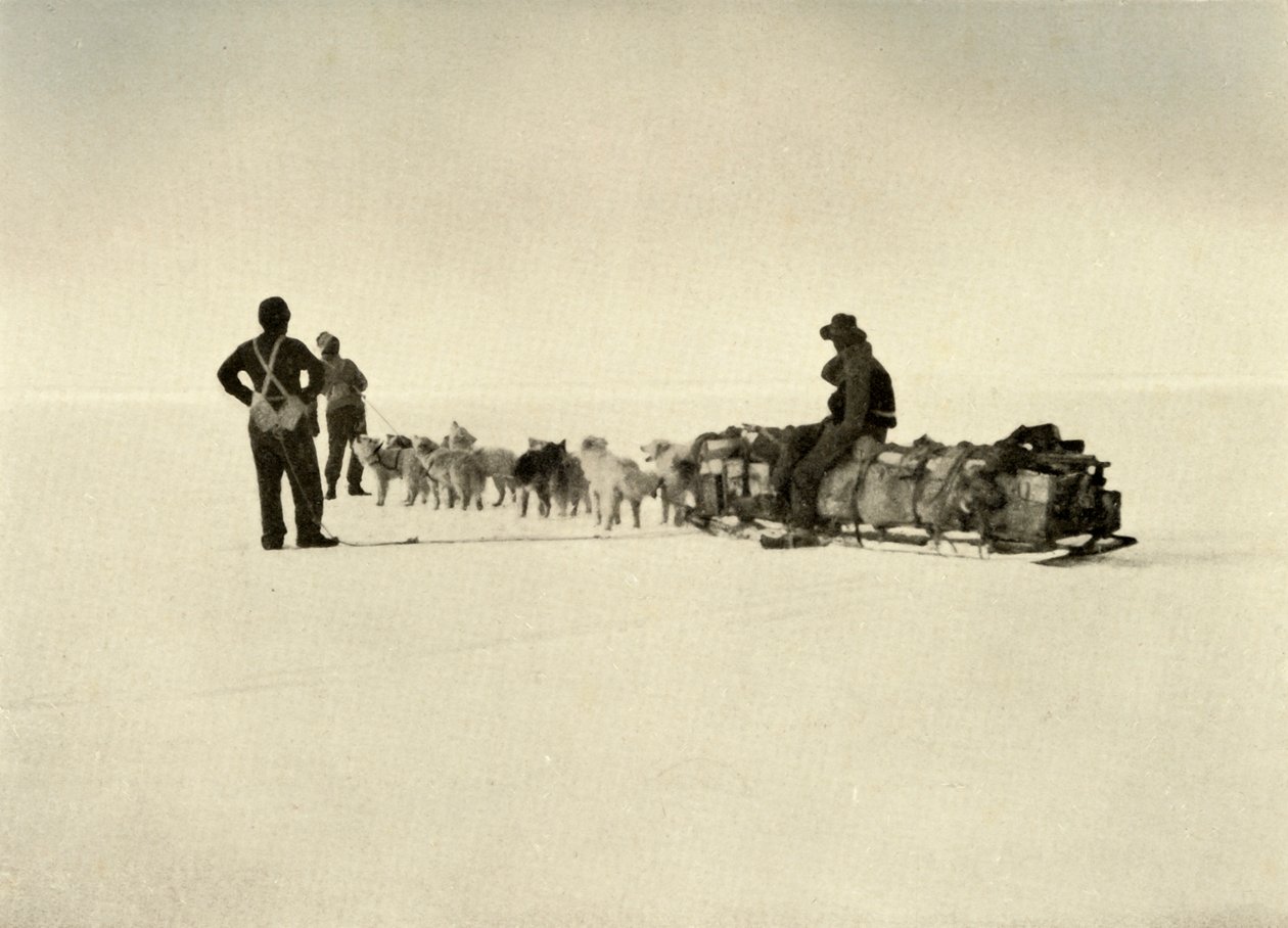 حزب مستودعات بلاف على الجدار ، c1908 ، 1909. بواسطة غير معروف
