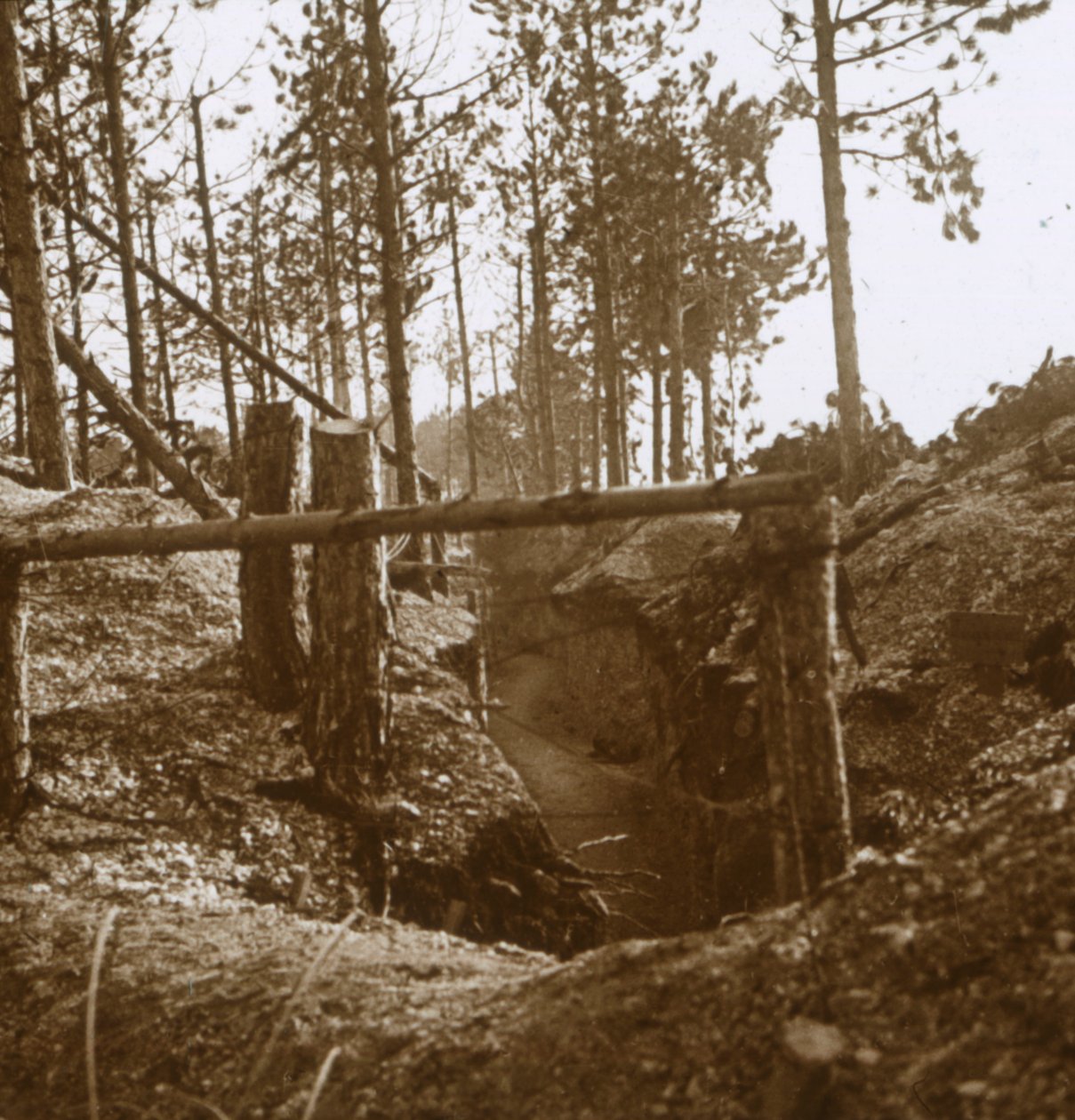 Bois-le-Prêtre ، شمال فرنسا ، c1914-c1915 بواسطة غير معروف