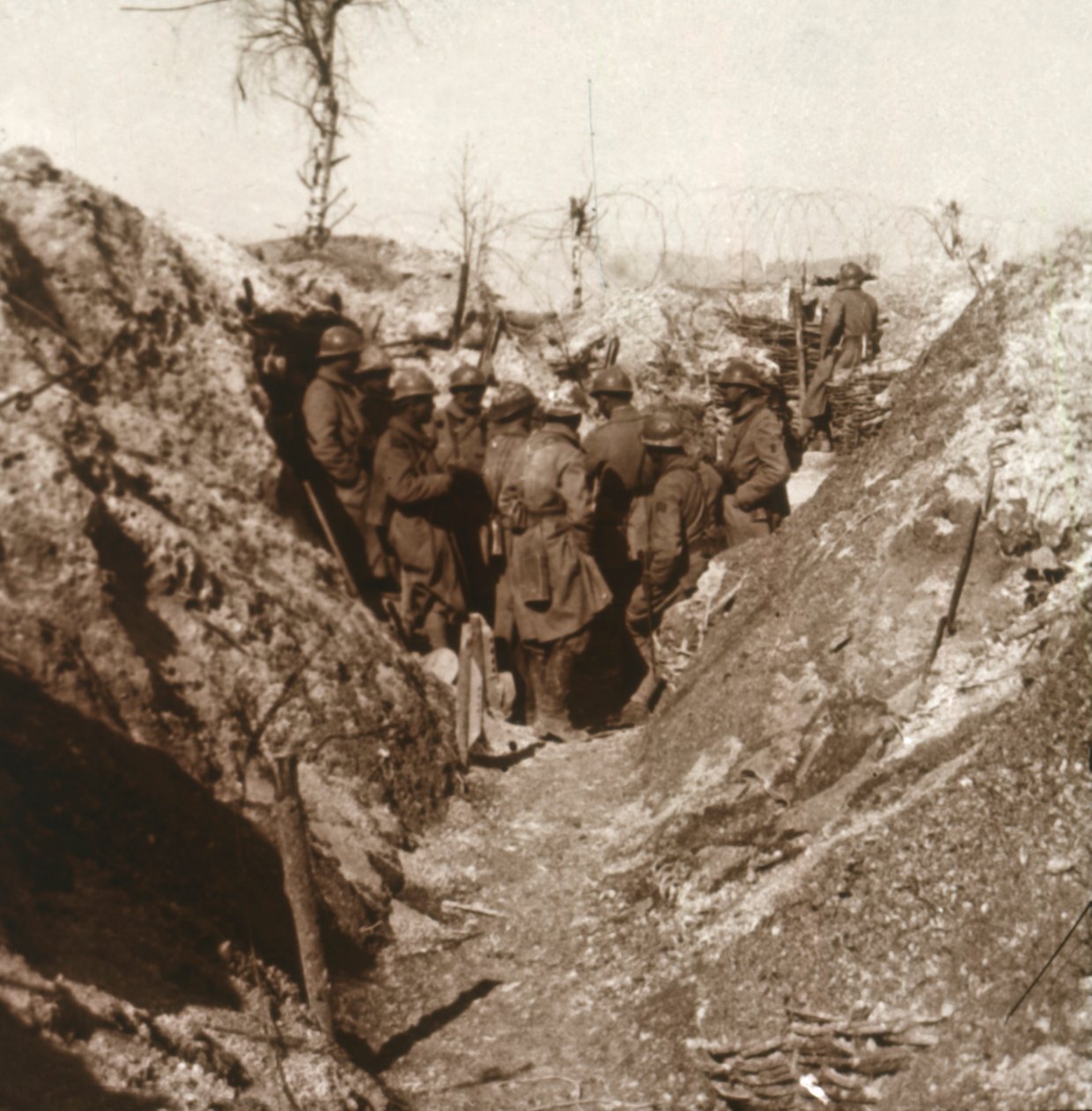 بوا دي لا جريل قبل الهجوم ، شمال فرنسا ، c1914-c1918 بواسطة غير معروف