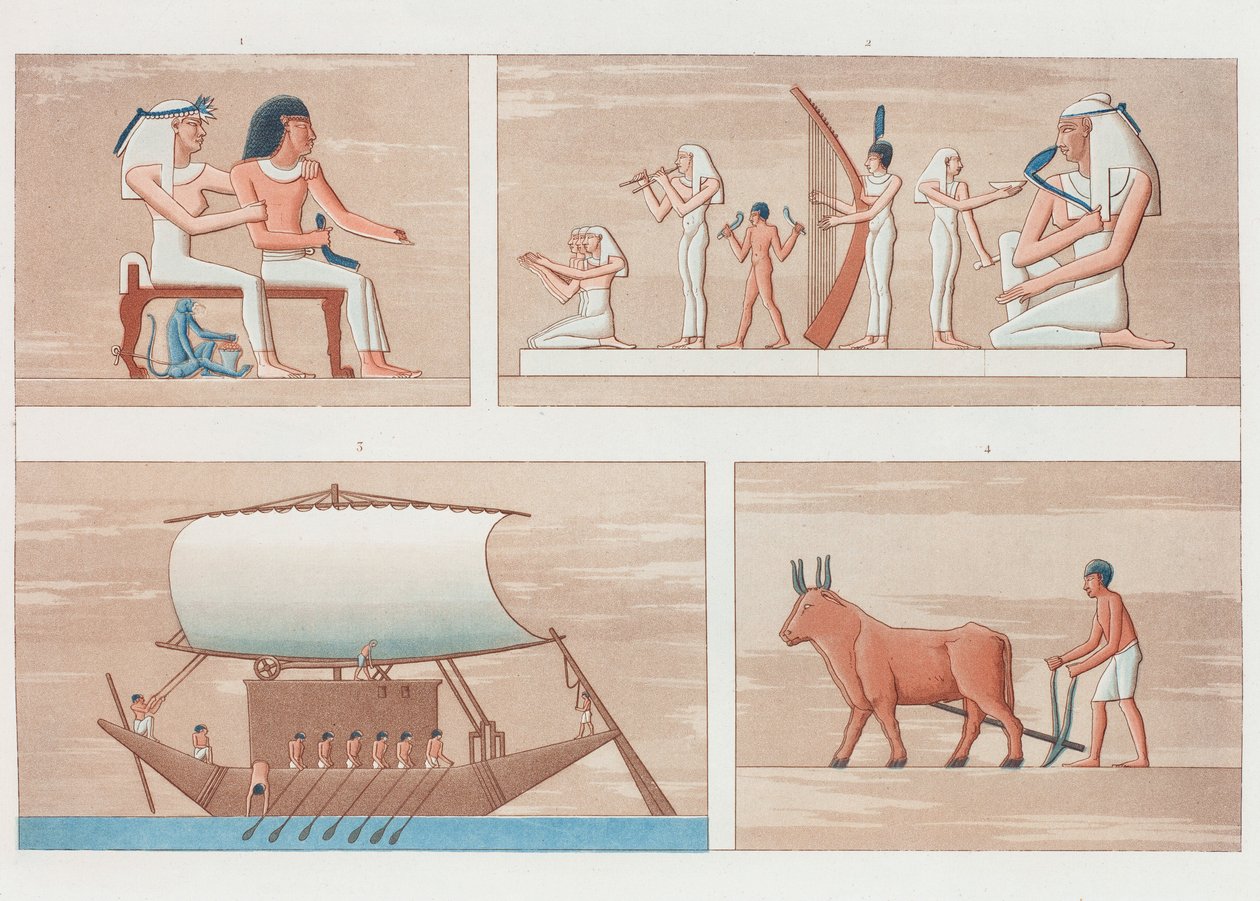 الكتاب: وصف مصر بواسطة غير معروف