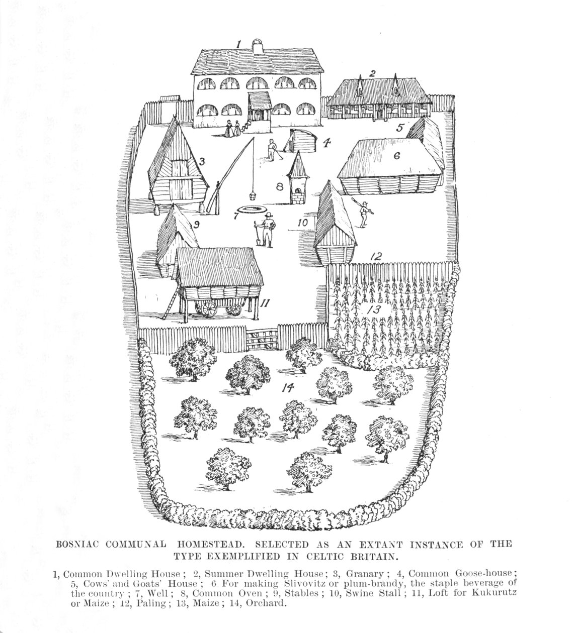 المسكن الطائفي البوسني ، 1902. بواسطة غير معروف