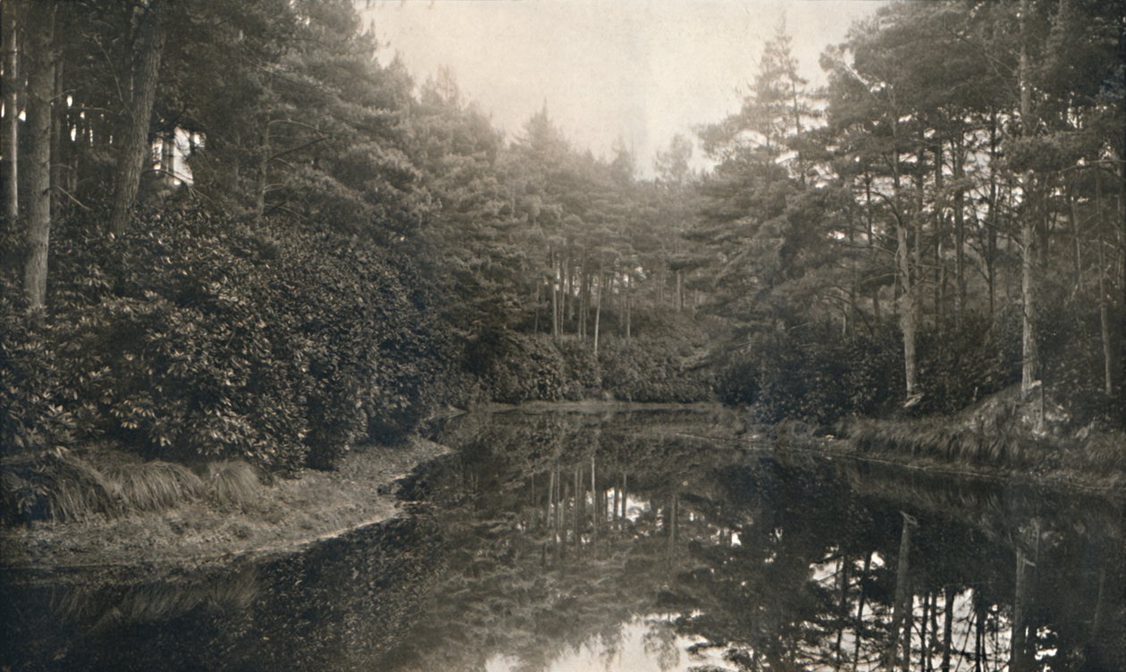 Branksome Chine and Lake ، c1910 بواسطة غير معروف