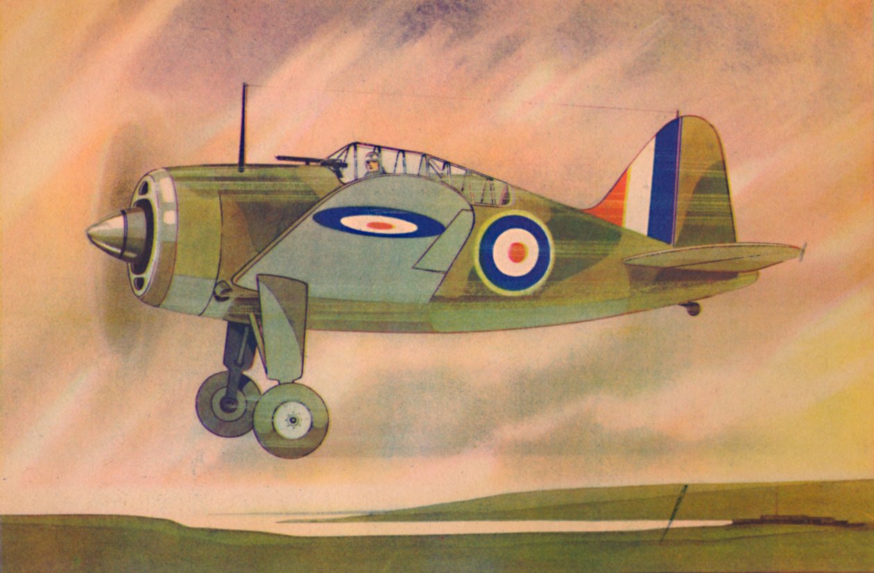 بروستر بوفالو مقاتلة طائرة أحادية ، c1944. بواسطة غير معروف