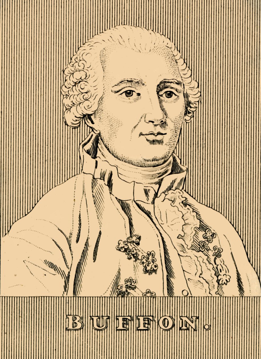 بوفون ، 1707-1788 ، 1830. بواسطة غير معروف