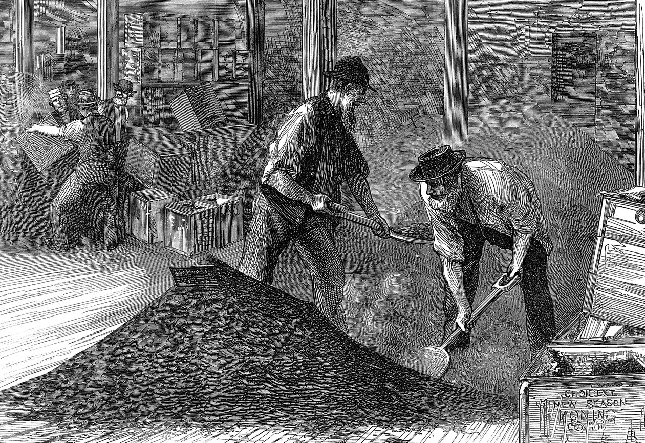 يستكثر الشاي في مستودعات شركة شرق وغرب الهند ، لندن ، 1874 بواسطة غير معروف