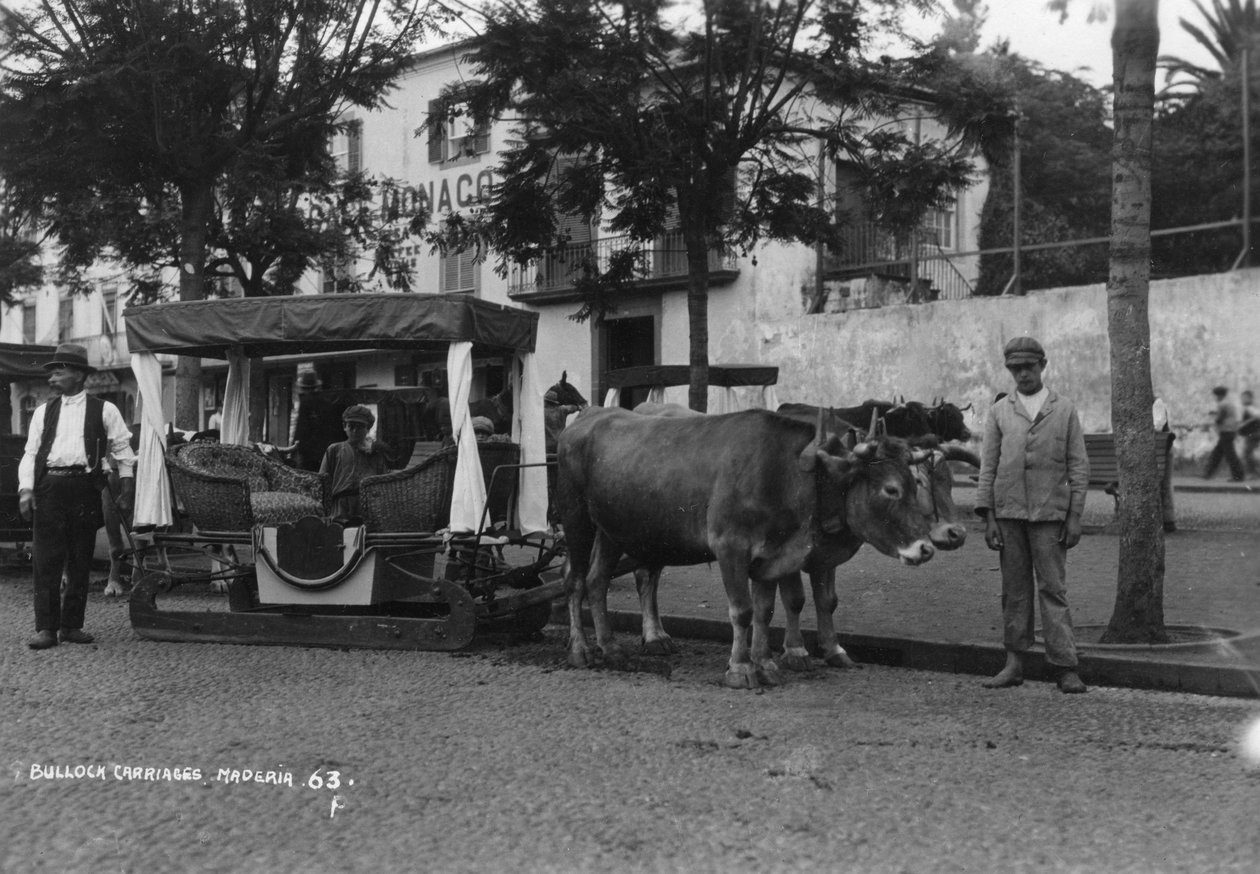 عربة بولوك ، ماديرا ، البرتغال ، c1920s-c1930s بواسطة غير معروف