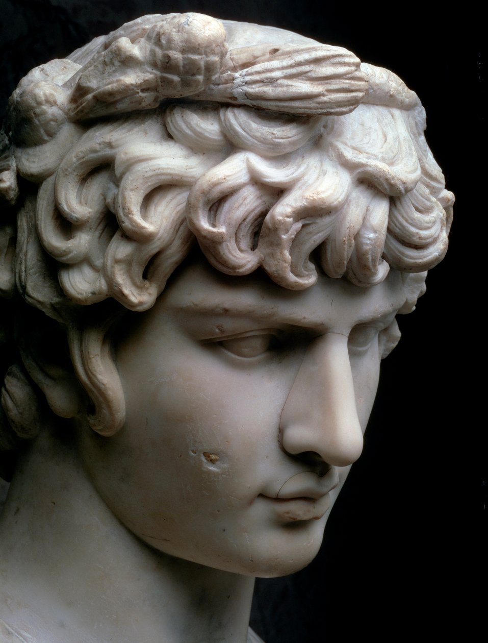 تمثال نصفي Antinous ، منتصف القرن الثاني الميلادي بواسطة غير معروف