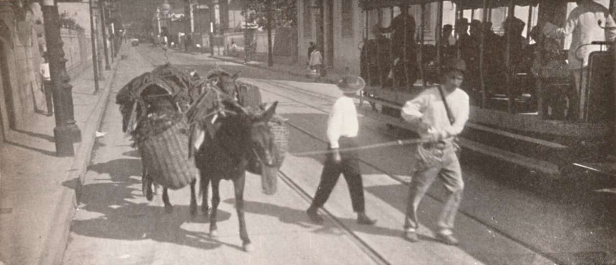 بالترام والبغل ، 1914 بواسطة غير معروف