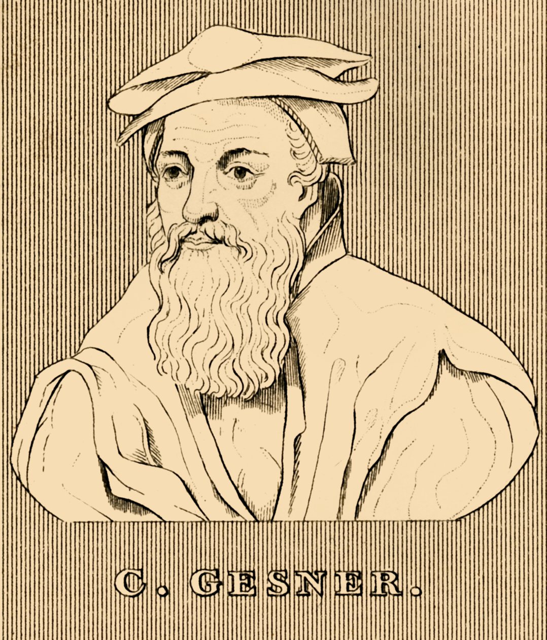 جيزنر ، 1516-1565 ، 1830. بواسطة غير معروف
